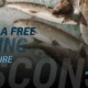 Win a Free Fishing Trip