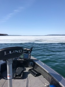 Spring Fishing Update